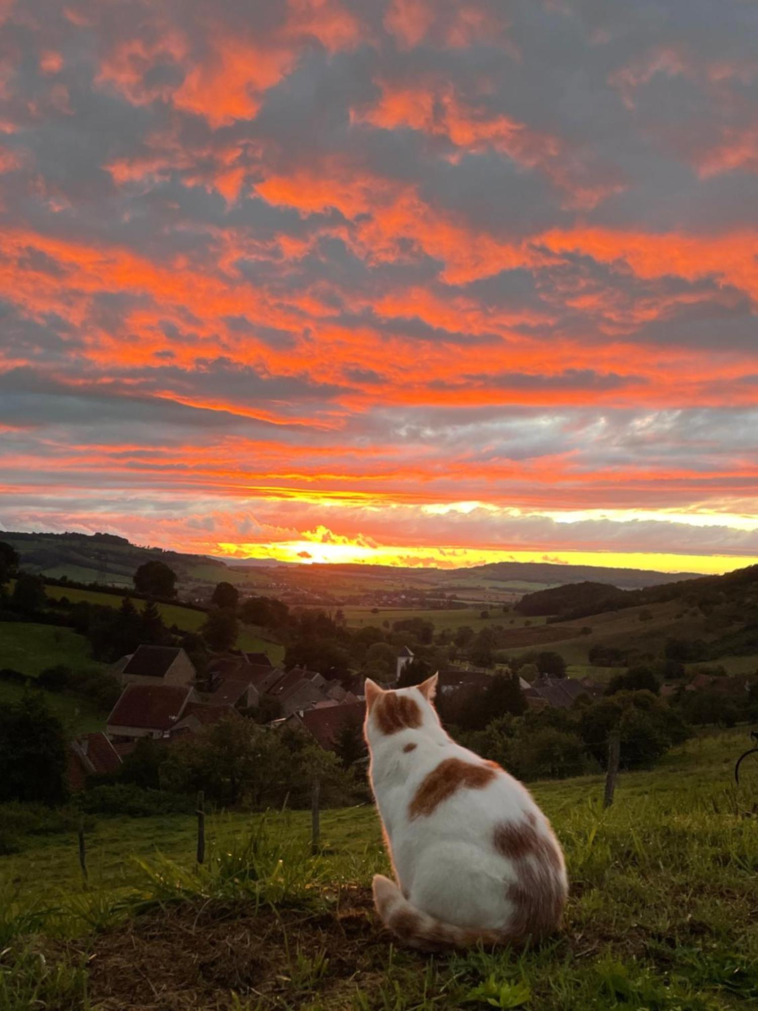 La Petite Maison Dans La Campagne Massingy-lès-Vitteaux Exterior foto